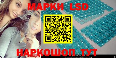 стафф Гатчина