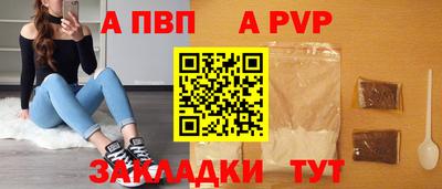 стафф Гатчина