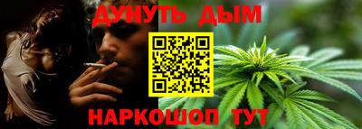 стафф Гатчина
