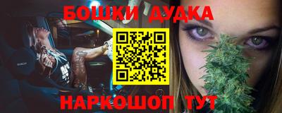 стафф Гатчина
