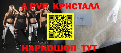 стафф Гатчина